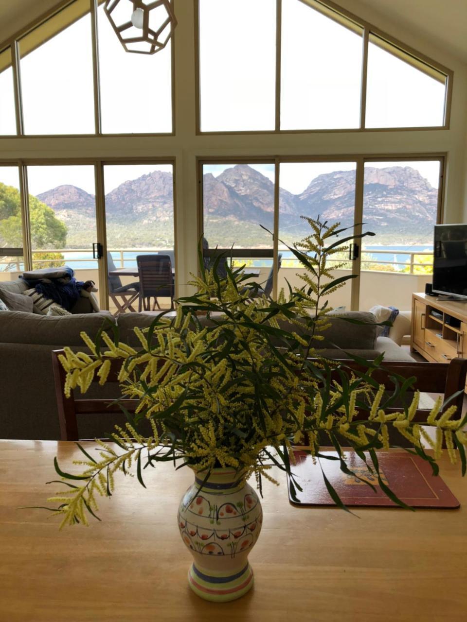 Freycinet Beach House كولز باي المظهر الخارجي الصورة